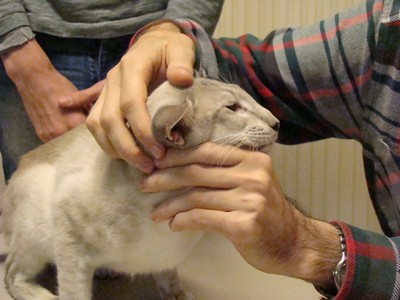 20121021_157 (Expo)